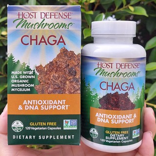 เห็ดหิ้งไซบีเรีย ชาก้า Chaga Antioxidant and DNA Support 120 Capsules (Host Defense™) ภูมิคุ้มกัน ต้านอนุมูลอิสระ