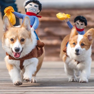Dog Translating Pet Funny Cowboy Knight Koji Teddy Funny Chai Dog Clothes