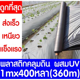 พลาสติกคลุมดิน 1ม.x400หลา(360ม) พลาสติกคลุมแปลง พลาสติกดำ/เงิน พลาสติกกันวัชพืช กันวัชพืช ปลูกผัก ปลูกผลไม้(ไม่เจาะรู)