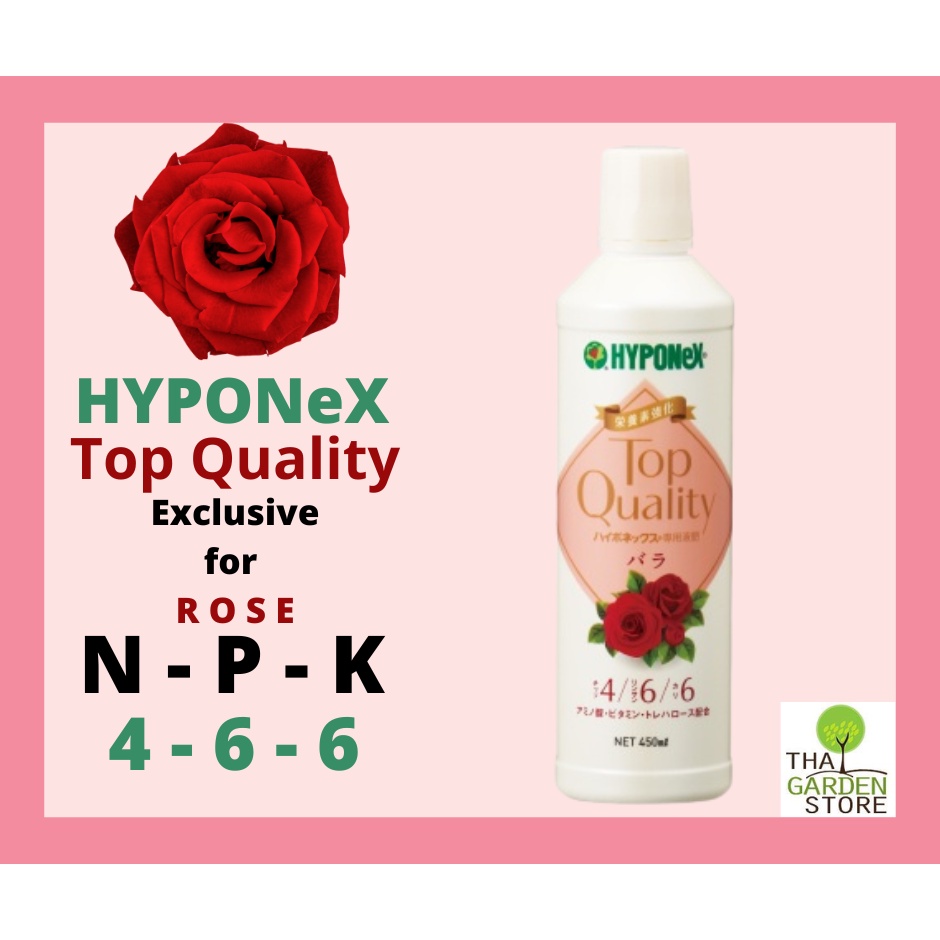 HYPONeX Exclusive for ROSE สูตร 4-6-6 สำหรับกุหลาบโดยตรง เพื่อการสะสมตาดอก