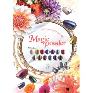 PREGEL MAGIC POWDER ผงกระจกทาเล็บ ,ผงขัด