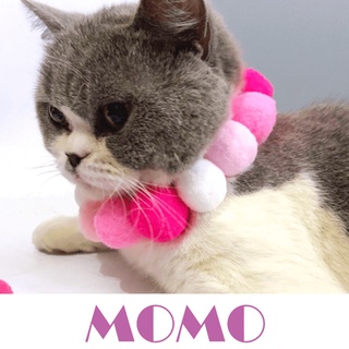 MOMO ปลอกคอแมว ปอมปอม(CC01)ปลอกคอหมา ปลอกคอสัตว์เลี้ยง Pet Fluffy ball Collar