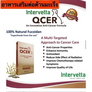 Qcer 20 เม็ด อาหารเสริมต่อต้านมะเร็ง เสริมภูมิคุ้มกันและปรับสมดุลย์ร่างกายทานได้ทั้งสุนัขแมวกระต่าย