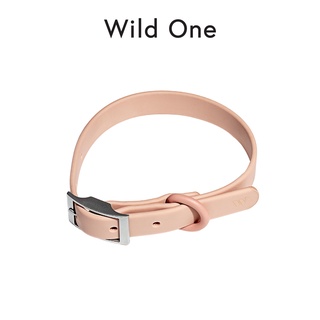 Wild One - Collar ปลอกคอสุนัข │ Blush