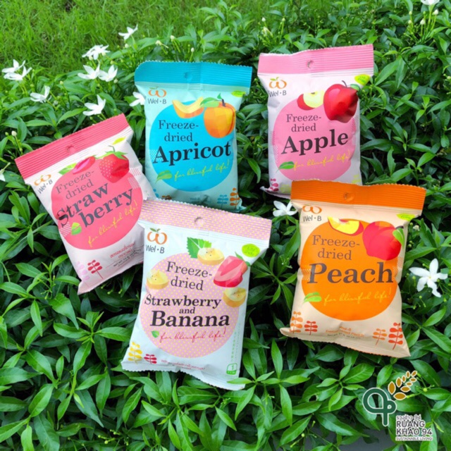 Wel-B ผลไม้อบกรอบฟรีสดราย Freeze-dried | Shopee Thailand