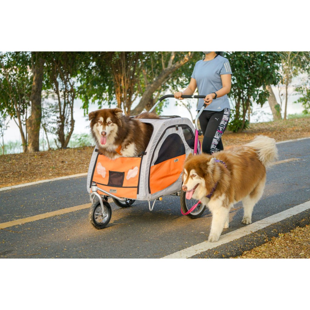 รถเข็นสุนัขใหญ่ 2in1 Petego (พ่วงจักรยาน&amp;รถเข็น)  รุ่น Comfort Wagon, Large รับน้ำหนักน้องหมาได้ 75 kg (นำเข้าจาก usa)