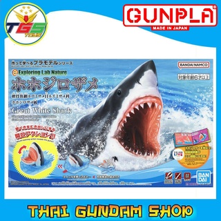 ⭐TGS⭐EXPLORING LAB NATURE GREAT WHITE SHARK (Model Kits)