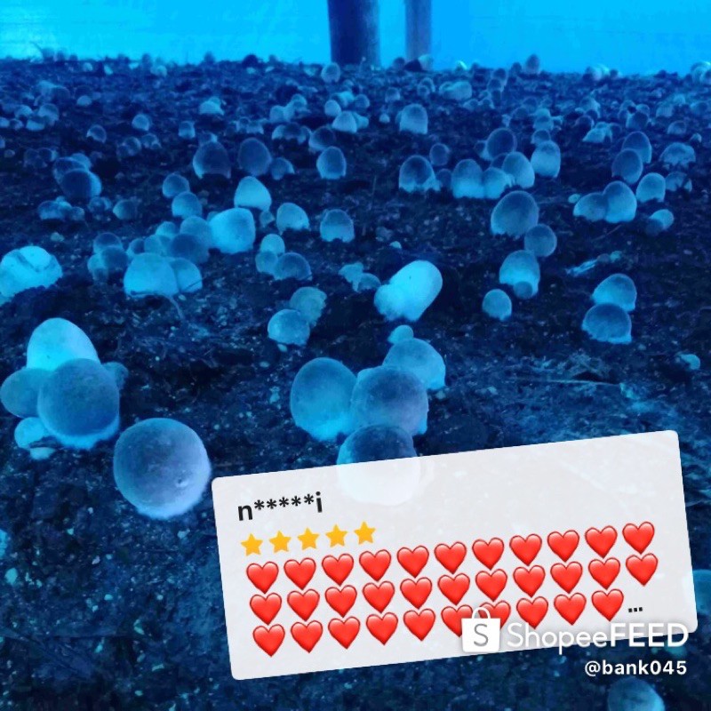 รูปภาพ 4