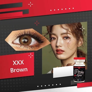 🇰🇷Pitchy Lens : XXX  สี Gray / Brown ตาโต คอนแทคเลนส์