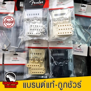 Fender Stratocaster Accessory Kit