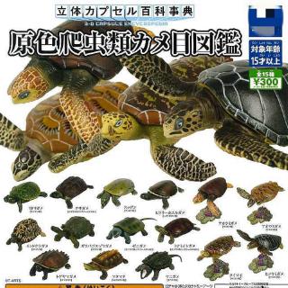 TOMY wild marine animals 15 pieces / setTOMY สัตว์ทะเลสัตว์ป่าเต่า 15 ชิ้น / ชุด