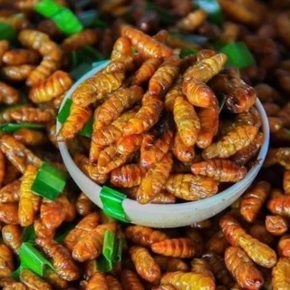 หนอนไหมแช่แข็ง 1 กิโลกรัม | FROZEN SILKWORM