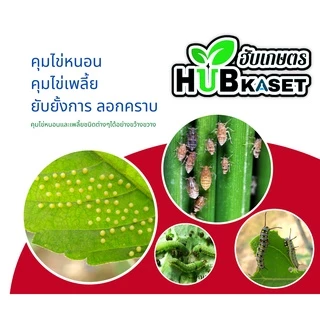 ไวต์ออยล์ 1ลิตร (ไวต์ออยล์) ป้องกันเพลี้ยหอย เพลี้ยไฟ เพลี้ยแป้ง เพลี้ยไก่แจ้ส้ม ไรแดง แมลงหวี่ขาว