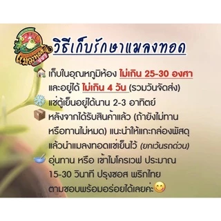 จิโป่มทอด จิหล๊อ จิ้งก่ง จิโป่ง แมลงทอดซู่ซ่า