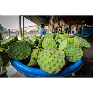 เม็ดบัวแห้ง(ใช้ทําอาหาร/ขนม) 500กรัม & 1กิโล /วัตถุดิบทําอาหาร/ขนม (เม็ดบัว อาหารแห้ง อาหารเจ อบแห้ง)