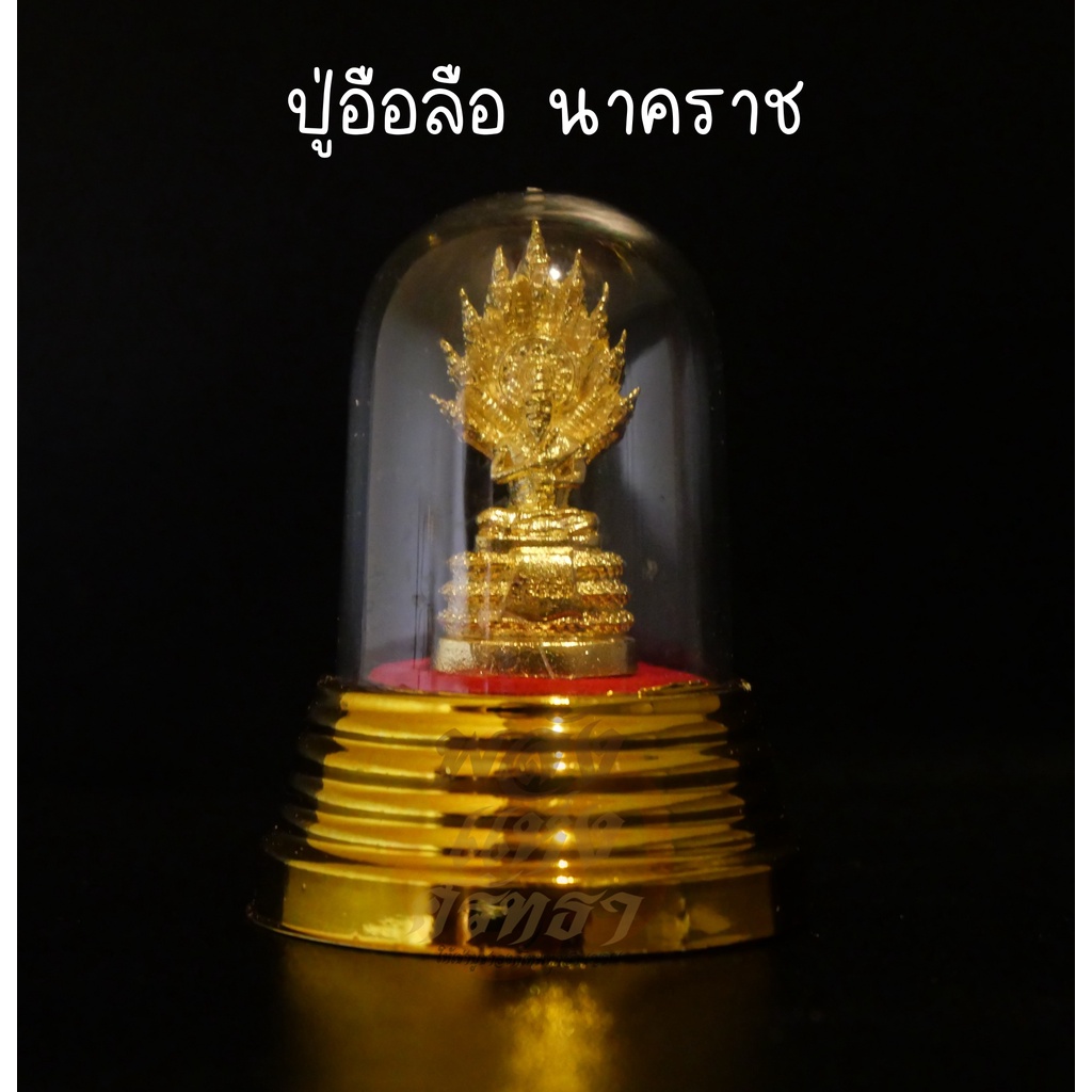 My Image 24