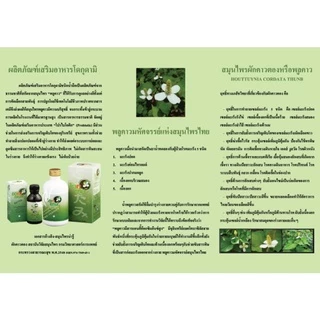 โดกุดามิ/dokudami ราคาพิเศษ 700 บาท สมุนไพร พลูคาว คาวตอง เข้มข้น 99.3%