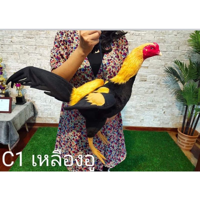 ไก่ดำ ไก่ยาง ตุ๊กตาไก่ ไก่ปลอม ไก่ล่อเป้า ออกกำลังกายไก่ ฝึกไก่ชน Pakorn Rooster Dolls