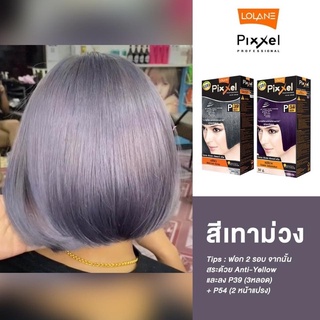 สีผมโลแลน สีเทาม่วง P39+P54