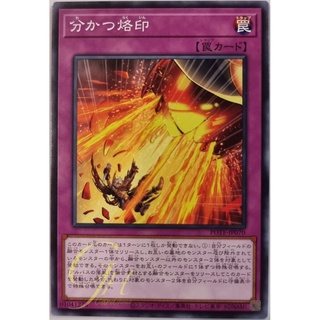 [POTE-JP070] Branded Separation (Common)