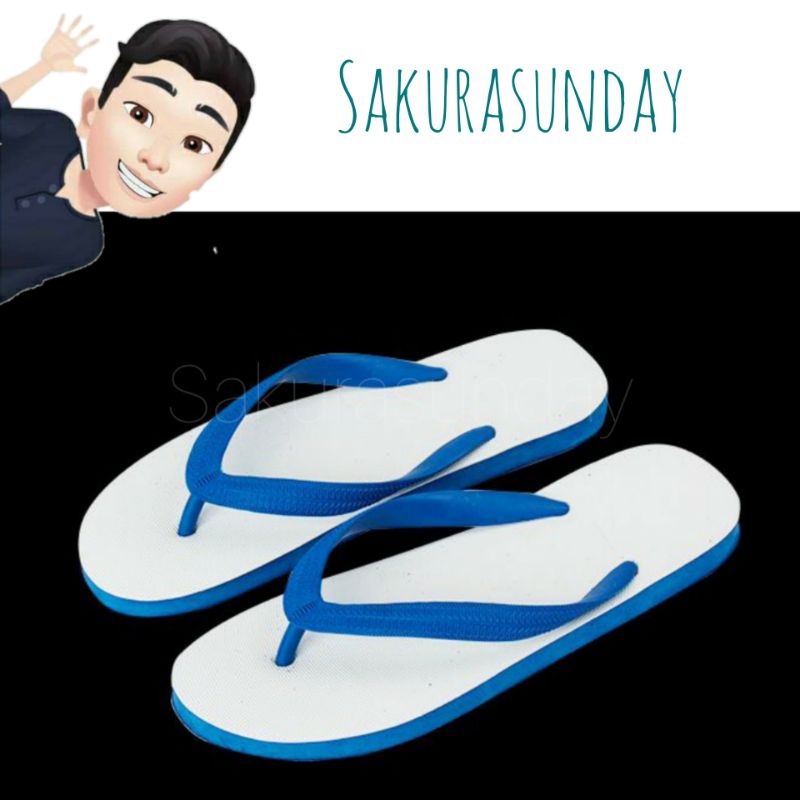 รองเท้าแตะนันยาง Nanyang ช้างดาว