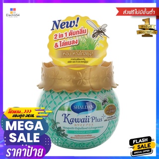 เจลปรับอากาศไล่ยุง SHALDAN 180g LOUNGE MINTAIR FRESHENER GEL MOSQUITO REPELLENT SHALDAN 180g LOUNGE MINT