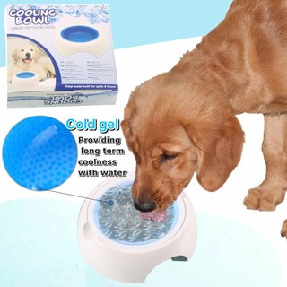 cooling bowl ถ้วยน้ำเจลเย็น สำหรับสัตว์เลี้ยง ชามเจล ชามใส่น้ำ