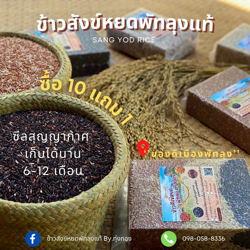 ‼️ ข้าวสังข์หยดพัทลุงแท้ 100% ‼️ หอม นุ่ม อร่อย สีใหม่ทุกวัน ข้าวเกษตรกร ปลอดภัย ไร้สาร ข้าวจากชาวนา