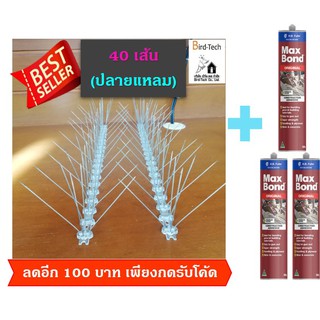 Bird spike  หนามกันนกฐาน polycarbonate 40 เส้น ➡️ปลายแหลม⬅️ แถมกาวตะปู 3 หลอด จำนวนกิ่ง 120 กิ่งต่อเมตร