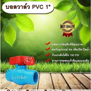 บอลวาล์ว PVC 1” (1 นิ้ว) ตราลัคกี้ Lucky 1 นิ้ว  ประตูเปิดปิดน้ำ บอลวาล์วพีวีซี แบบสวม Ball Valve allaboutplants