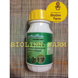 ออคิดส์โกร สารบำรุงต้นกล้วยไม้ 250 ซีซี สารสกัดอินทรีย์ ปุ๋ย ฮอร์โมน บำรุงราก บำรุงต้น บำรุงใบ เหมาะกับ ต้นกล้วยไม้