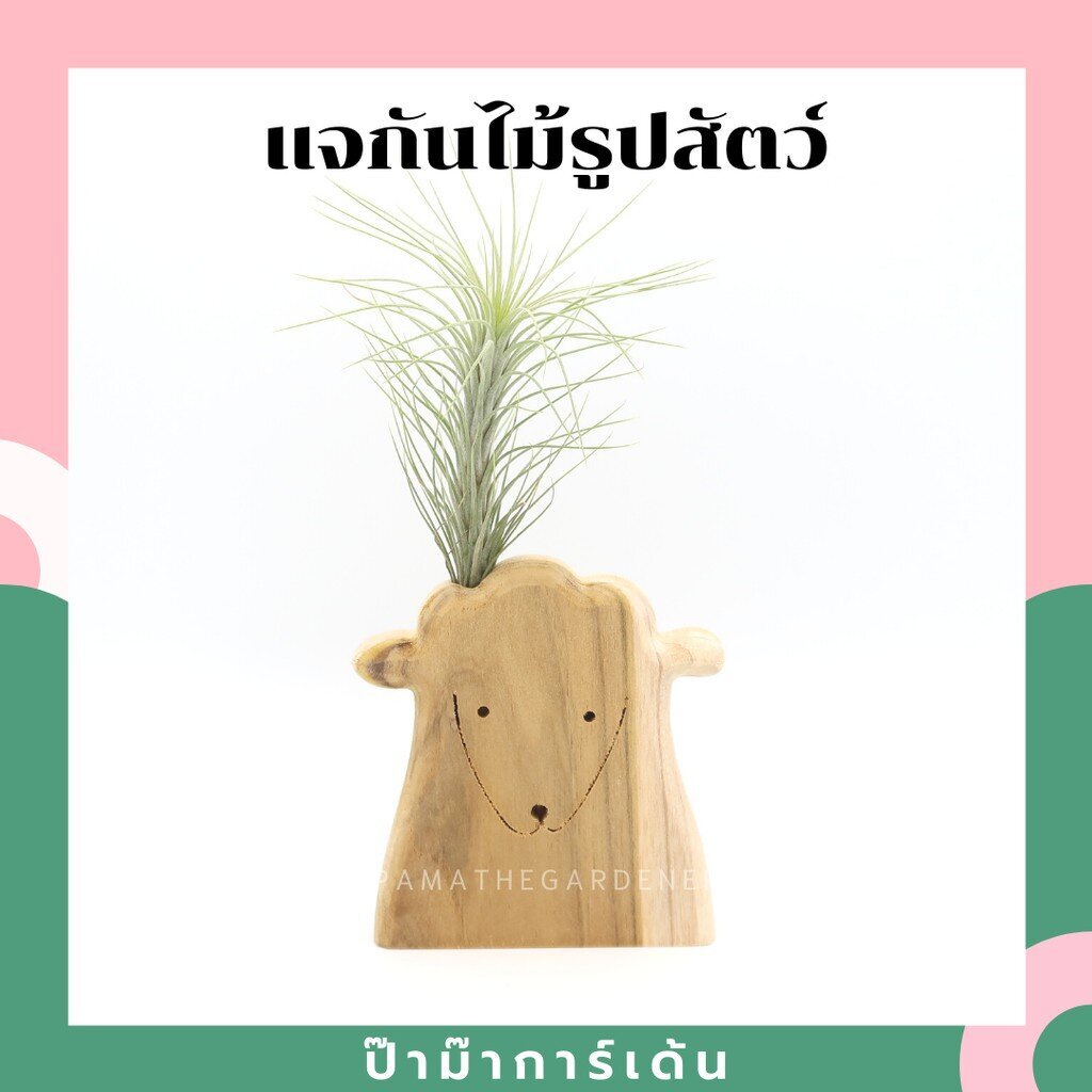 มุมมอง 3