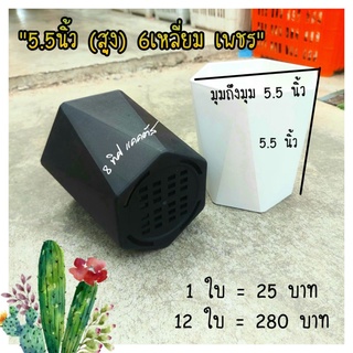 กระถาง เพชร 5.5 นิ้ว ( หนา สูง) // กด 12 ชิ้น 280 บาท กระถางพลาสติก  กระถางแคคตัส กระบองเพชร