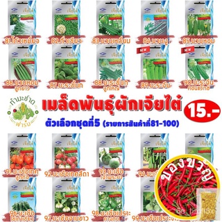 เมล็ดอวบอ้วน100%，ไทยในสต็อกพร้อมส่ง[10แถม2] เจียไต๋ เมล็ดพันธุ์ มะเขือเจ้าพระยา Eggplant (Chao phaya) ประมาณ 240 เมล็ด ต