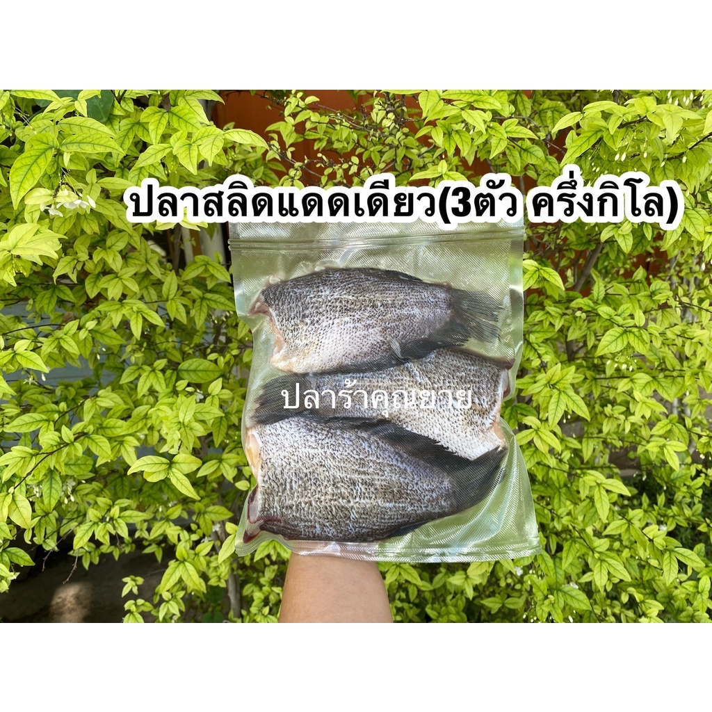 ปลาสลิดแดดเดียว(มีไข่) พร้อมส่ง