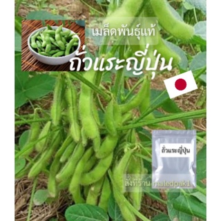 เมล็ดพันธุ์ถั่วแระญี่ปุ่น พันธุ์แท้ เมล็ดถั่วแระญี่ปุ่น เมล็ดผัก ปลูกง่าย งอกง่าย พร้อมส่ง