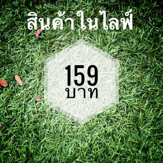 สินค้าในไลฟ์ กระเป๋ามือสอง 159 บาท