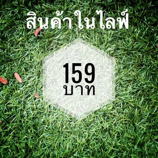 สินค้าในไลฟ์ กระเป๋ามือสอง 159 บาท