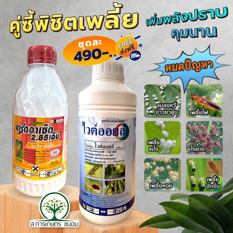 คู่ซี้ พิชิตเพลี้ย คุมนาน