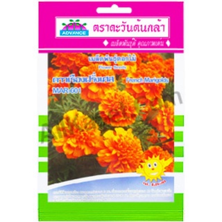 เมล็ดดาวเรืองฝรั่งเศส MAR-601ราย