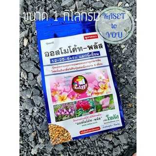 ออสโมโค้ทพลัส สูตร 12-25-6+1% magnesium ปุ๋ยละลายช้า สูตร 6 เดือน ขนาด 1 กิโลกรัม แบบซอง รุ่นใหม่ผลิตปี 2564