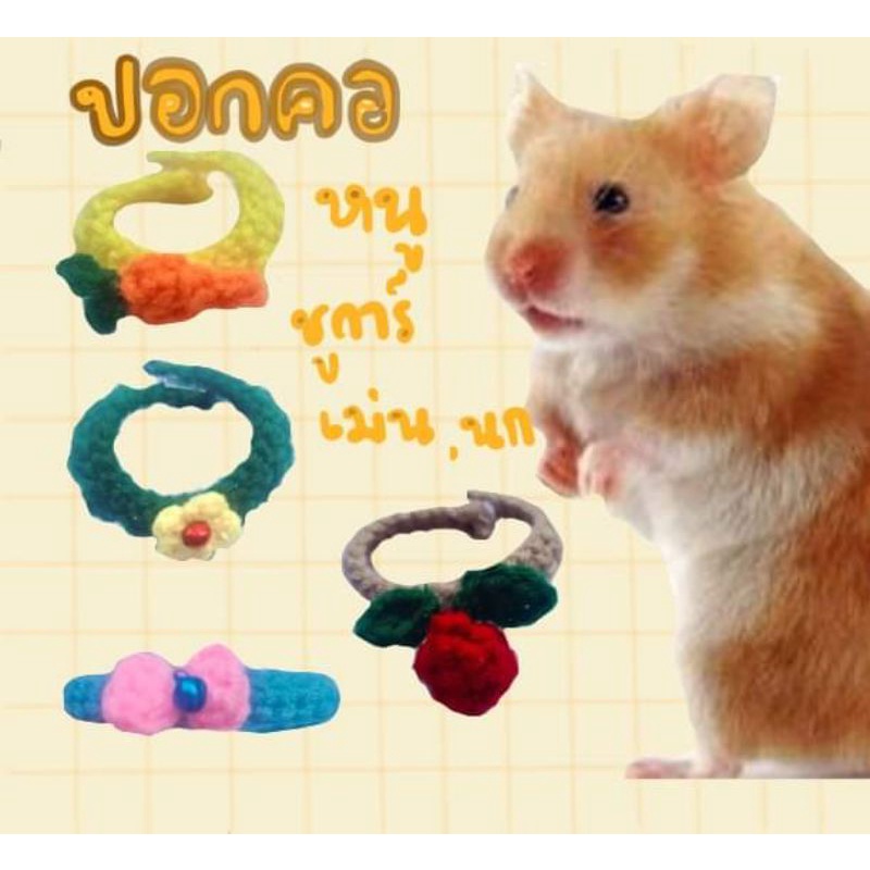 ปอกคอแฮมสเตอร์ ชูการ์ เม่น นกแก้ว