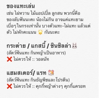ร้านโทโมะ💕 (ขั้นต่ำ 50บาท⚠️) วอลนัท ลูกสน ไม้แอปเปิ้ล ไผ่หวาน ลับฟัน แฮมสเตอร์ ชินชิลล่า กระต่าย เจอร์บิล กระรอก