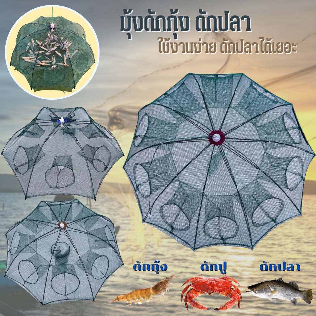 (พร้อมส่งจากไทย) มุ้งดักปลา มี 3แบบให้เลือก 6ช่อง 8ช่อง 10ช่อง มุ้งดักกุ้ง ตาข่ายดักปลา ที่ดักกุ้ง ที่ดักปลา ดักกุ้งฝอย