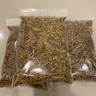 หนอนนกอบแห้ง (200g) หนอนนก Dried Mealworms เหมาะสำหรับชูการ์ไกลเดอร์, กระรอก, เม่น, แพรีด็อก แฮมเตอร์ และสัตว์เลื้อยคลาน