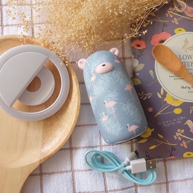 Solove X10 powerbank 10000mAh