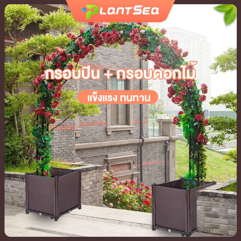 ซุ้มไม้เลื้อย  ชุ้มไม้เลื้อย  โครงต้นไม้  โครงไม้เลื้อย โครงเหล็ก