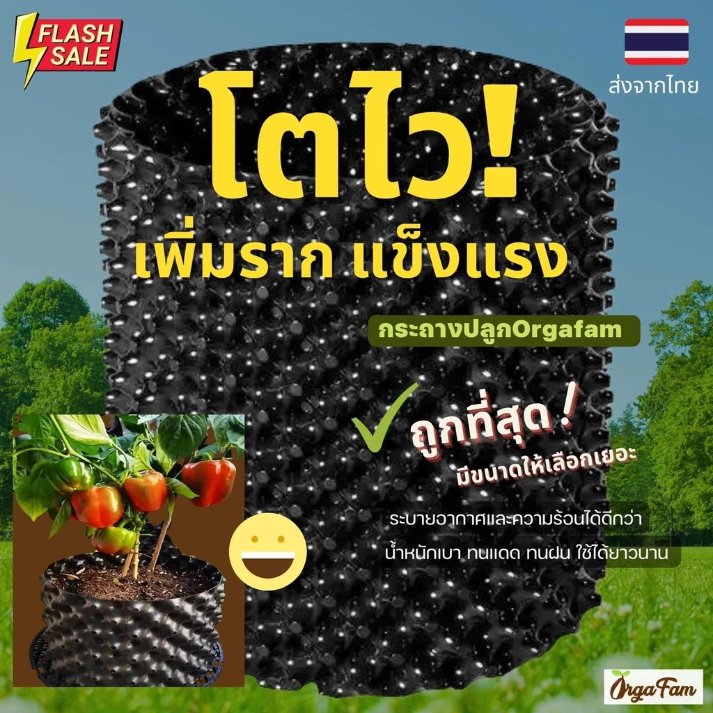Airpot Grow Bag กระถางปลูกต้นไม้ กระถางต้นไม้ กระถางเพิ่มราก โตไว รากแข็งแรง เคล็ดลับนักปลูก (1 ชิ้น)