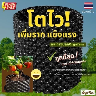 Airpot Grow Bag กระถางปลูกต้นไม้ กระถางต้นไม้ กระถางเพิ่มราก โตไว รากแข็งแรง เคล็ดลับนักปลูก (1 ชิ้น)