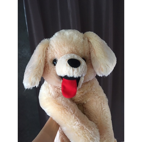 NEW✨ตุ๊กตาน้องหมาโกลเด้นอมูส Amuse น่ารักมาก 🐶